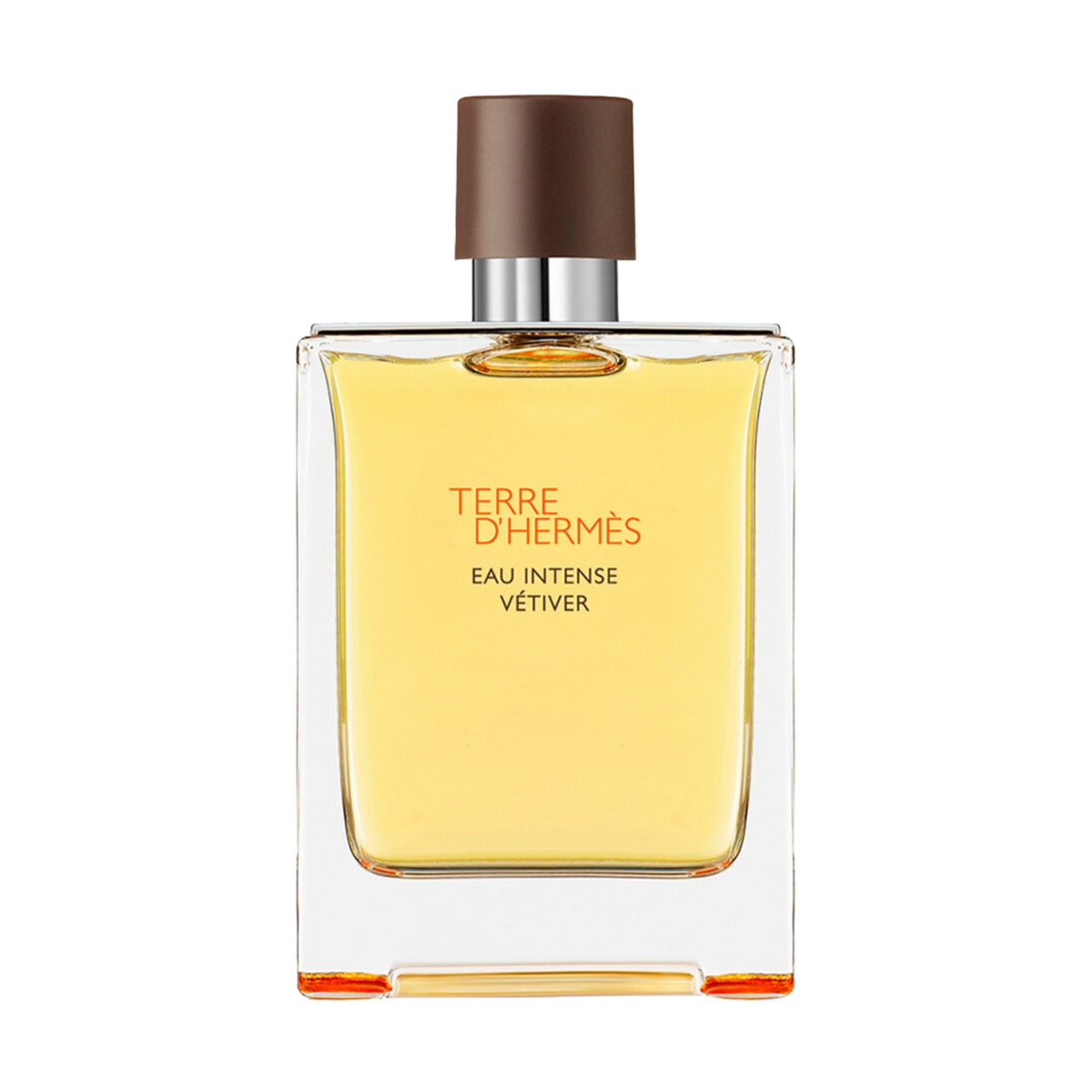 Hermes Terre d`Hermes Eau Intense Vetiver EDP 100 ml